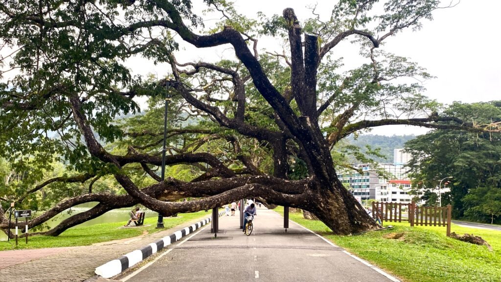 ESDA Charity Fun Walk/Run Taiping 2026: 3KM & 5KM at Taiping Zoo Pavilion